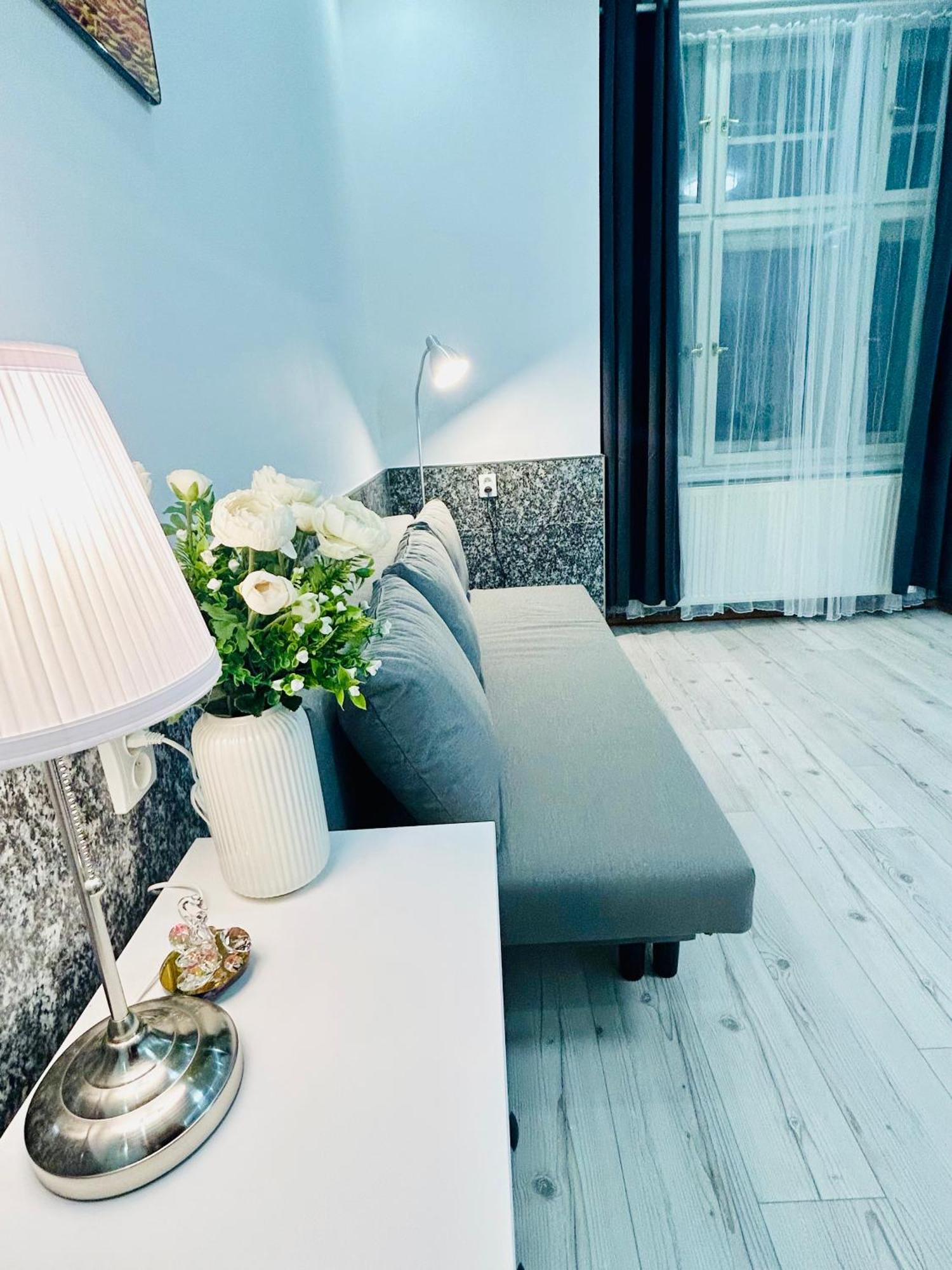 Modern Spacious Apartment In Center 布拉格 外观 照片